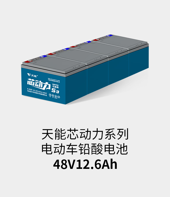 八大胜电池48v12ah