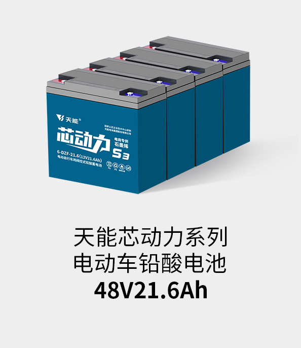 八大胜电池48v20ah