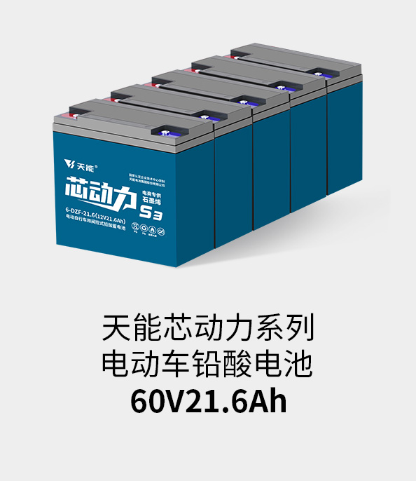 八大胜电池60v20ah