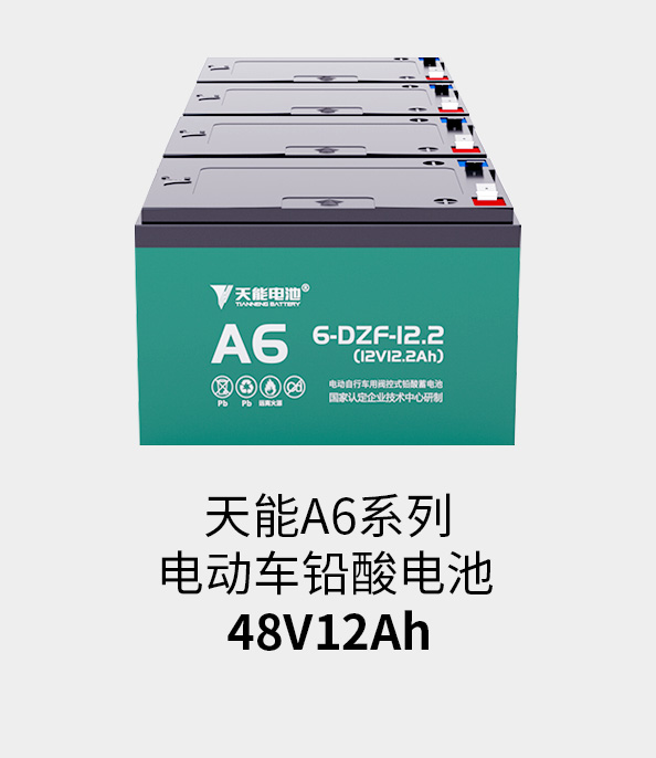 八大胜电池48v12ah