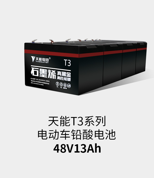 八大胜T3系列48v13ah