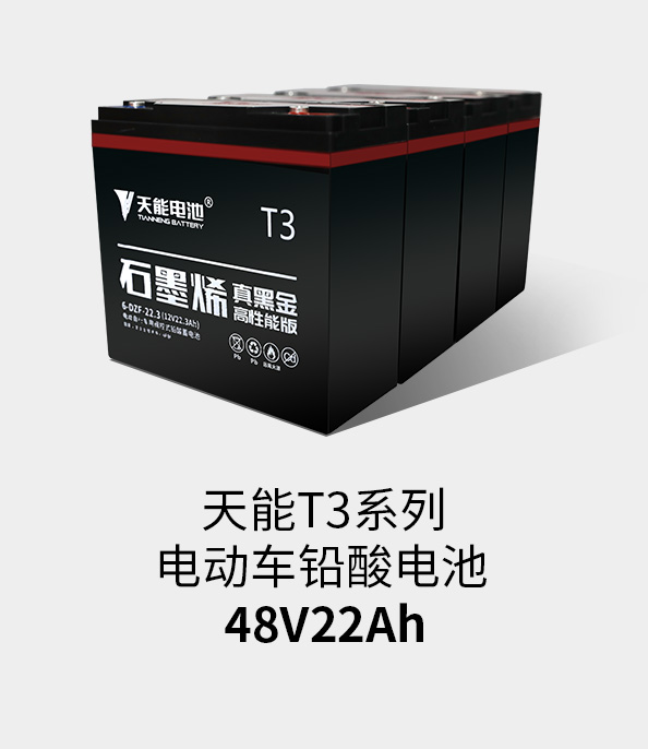 八大胜T3系列48v22ah