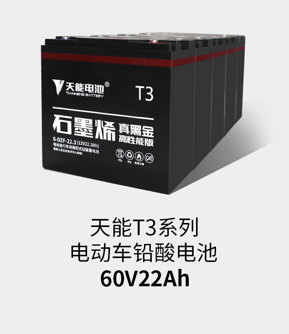 八大胜T3系列60v22ah