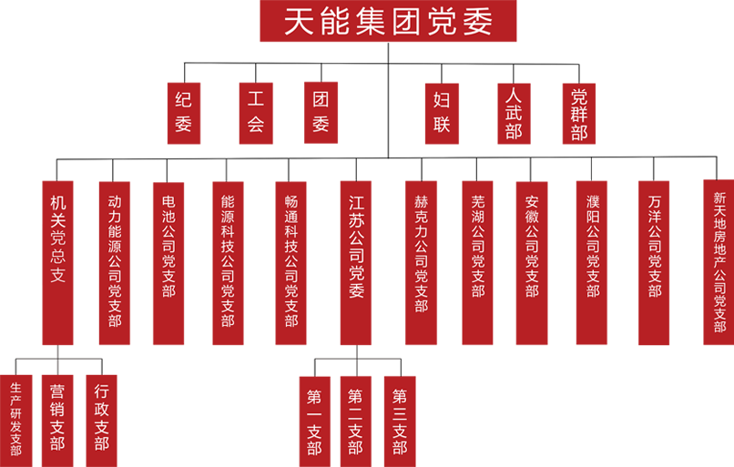 八大胜建团党委组织架构