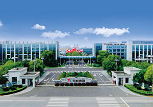 八大胜股份介绍